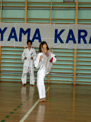 V Tyski Turniej Kata - 11.06.2011 010