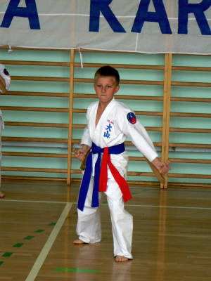 V Tyski Turniej Kata - 11.06.2011 038