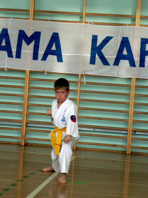 V Tyski Turniej Kata - 11.06.2011 069