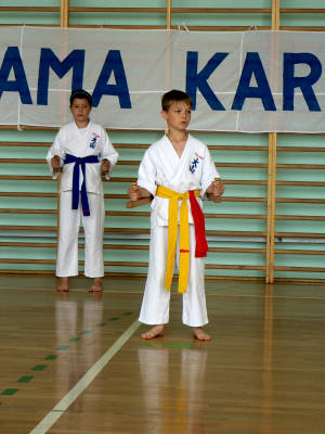 V Tyski Turniej Kata - 11.06.2011 078