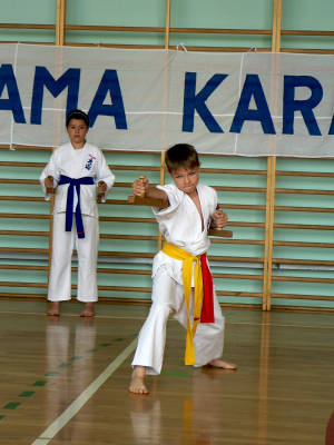 V Tyski Turniej Kata - 11.06.2011 079