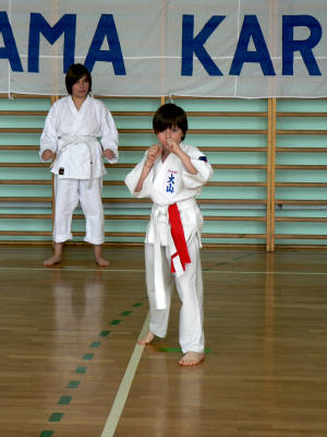 V Tyski Turniej Kata - 11.06.2011 093